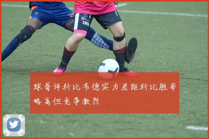 球哥评科比韦德实力差距科比胜率略高但竞争激烈
