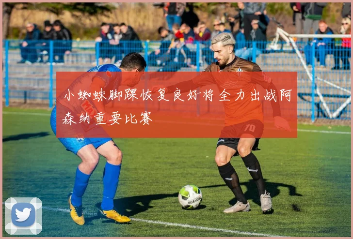 小蜘蛛脚踝恢复良好将全力出战阿森纳重要比赛