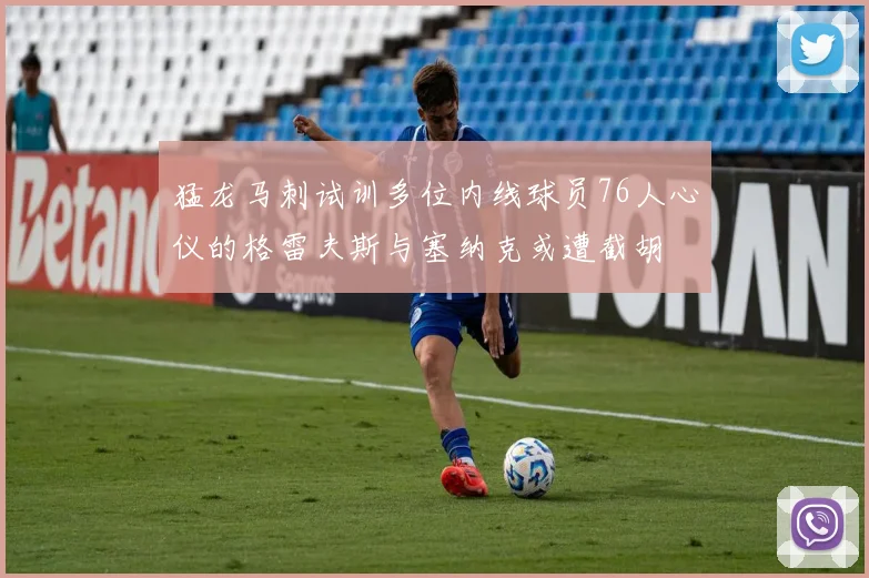 猛龙马刺试训多位内线球员76人心仪的格雷夫斯与塞纳克或遭截胡