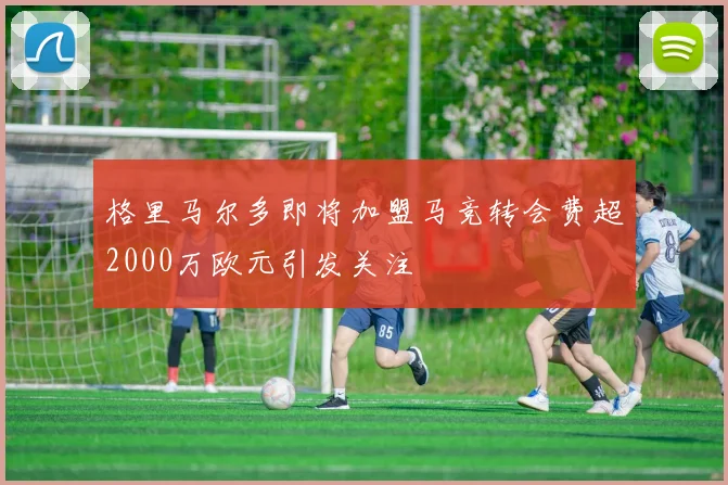 格里马尔多即将加盟马竞转会费超2000万欧元引发关注