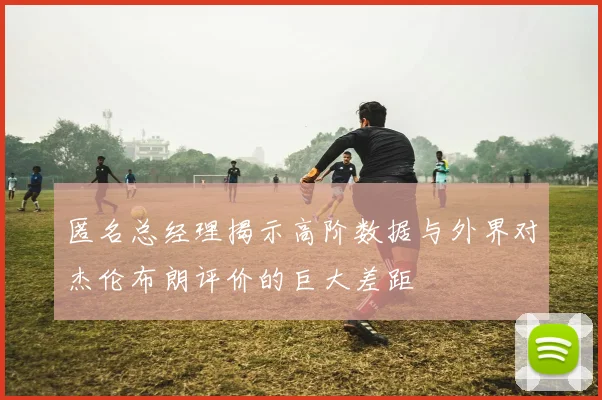 匿名总经理揭示高阶数据与外界对杰伦布朗评价的巨大差距
