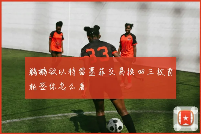 鹈鹕欲以特雷墨菲交易换回三枚首轮签你怎么看