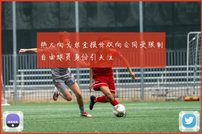热火向戈尔金报价双向合同受限制自由球员身份引关注